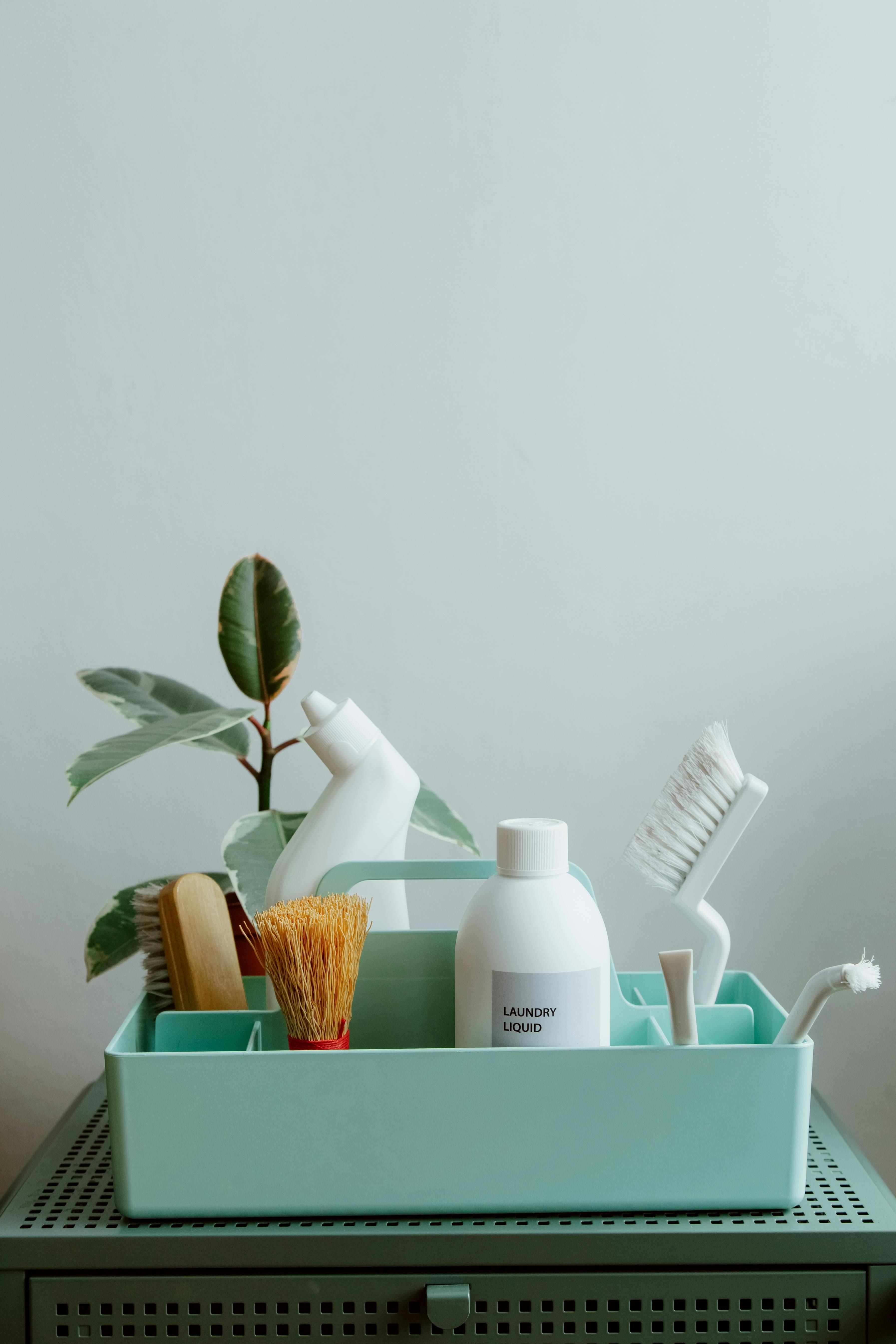 Sustainability and Green Cleaning Consulting