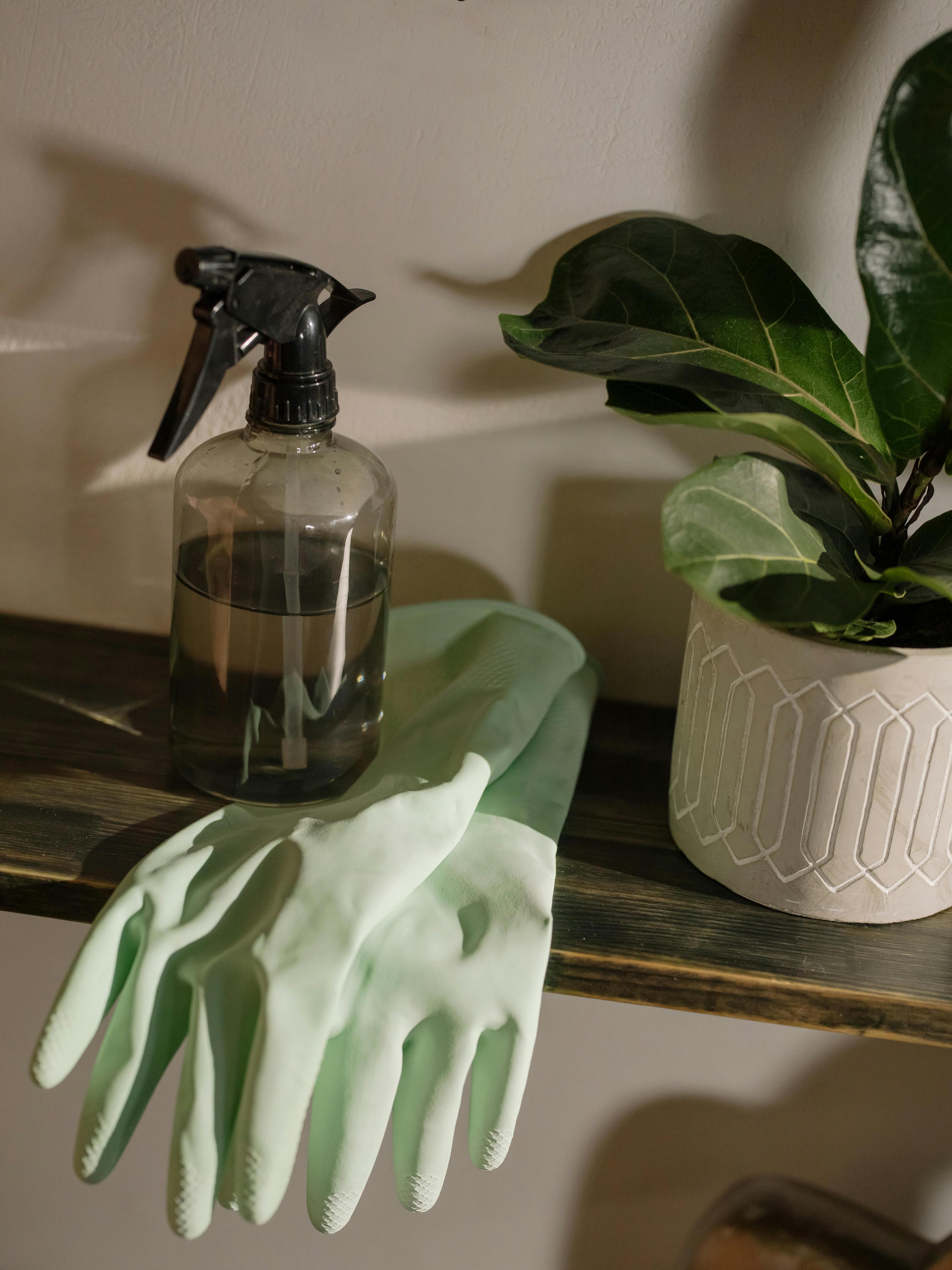 Eco Friendly Multipurpose Cleaner