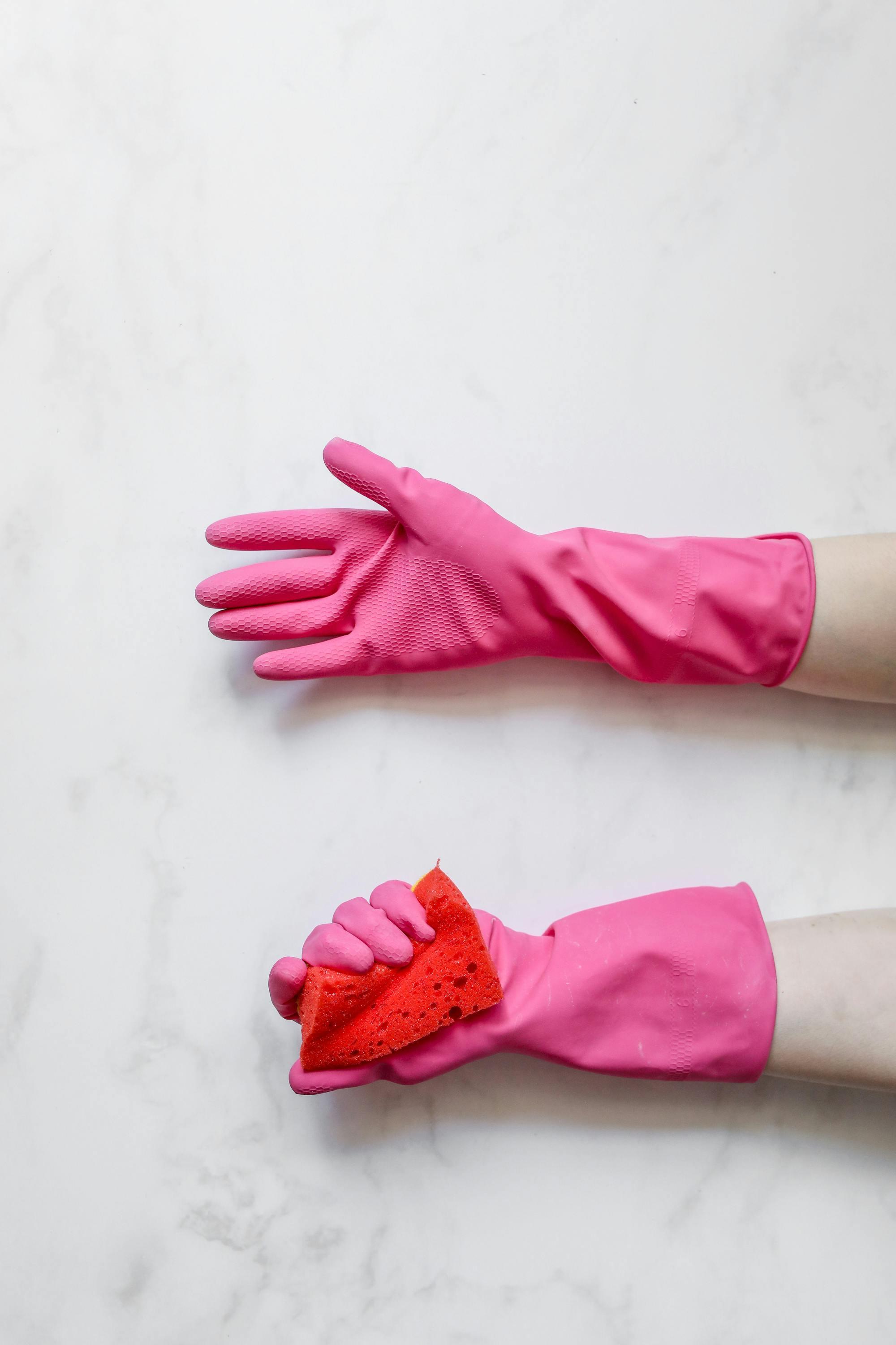 Hygiene Audit Services